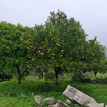 Dos Pensamentos Вила-ди-Рей