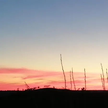 Dos Pensamentos Villa