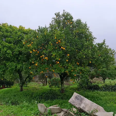 Dos Pensamentos Vila de Rei