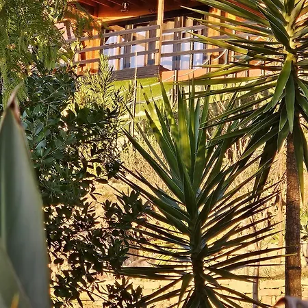 Dos Pensamentos * Vila de Rei