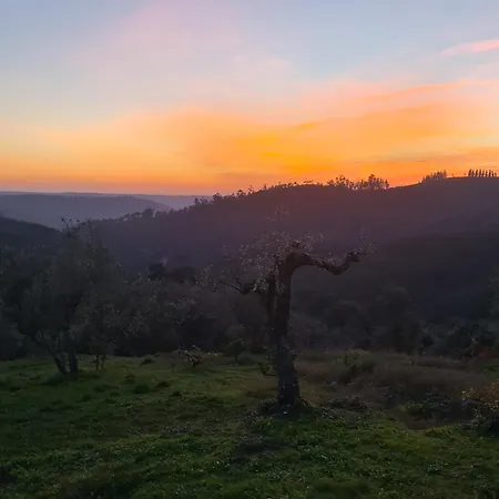 Dos Pensamentos * Vila de Rei