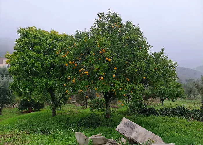 Dos Pensamentos Вила-ди-Рей