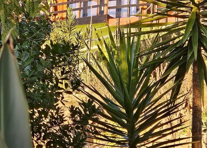 Dos Pensamentos * Вила-ди-Рей