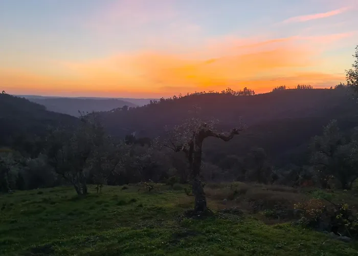 Dos Pensamentos * Вила-ди-Рей